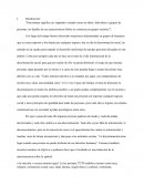 Ensayo discriminacion