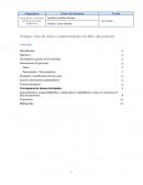 Acta de inicio y nombramiento del líder del proyecto