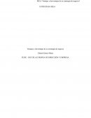 ESTRATEGIA IKEA: Ventajas y desventajas de su estrategia de negocio