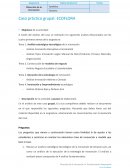 Caso práctico grupal: ECOFLORA