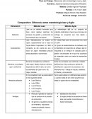 Diferencia entre metodología lean y Agile