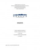 Cultura del Petróleo