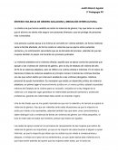 SÍNTESIS VIOLENCIA DE GÉNERO AISLADORA y MEDIACIÓN INTERCULTURAL