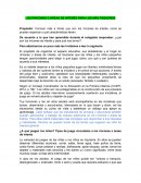 LOS RINCONES O ÁREAS DE INTERÉS PARA LOS MÁS PEQUEÑOS