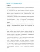 Trabajo Formas Organizativas