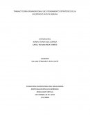TEORIA ORGANIZACIONAL EJE 3 PENSAMIENTO ESTRATÉGICO DE LA UNIVERSIDAD SURCOLOMBIANA