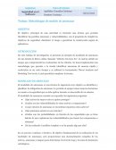 Seguridad en el Software