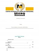 Marketing y comunicación Mercadona