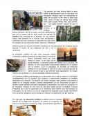 Educacion estetica y artistica, percepcion