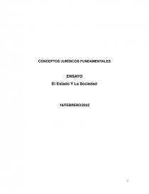 CONCEPTOS JURÍDICOS FUNDAMENTALES. Página 1