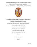 Garantías Constitucionales y Sistemas de Protección de Derechos Humanos: Hábeas Corpus
