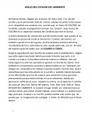 ESTUDIO DEL AMBIENTE MCC