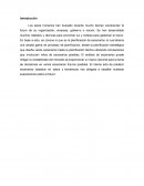 Planificación de los escenarios