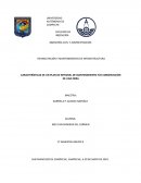 CARACTERÍSTICAS DE UN PLAN INTEGRAL DE MANTENIMIENTO DE UNA OBRA