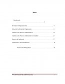 Análisis de los Procesos Administrativos Contables