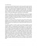 El bebé es un mamifero