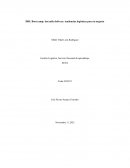 DHL Boot camp: last mile delivery: tendencias logísticas para tu negocio