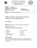 CARACTERISTICAS DE VEGETALES HIDRATADOS Y VEGETALES DESIHIDRATADOS