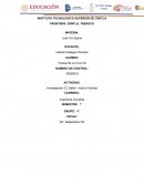 SAFARI VISITA AL GEMBA