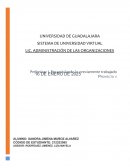 ¿Cuáles considero fueron las principales fortalezas de mi proyecto?