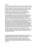 Concepto de organización