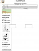 Técnicas de investigación celular