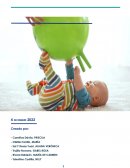 ENSAYO SOBRE LA TEORIA DE EMI PIKLER