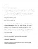 CARACTERÍSTIQUES DEL PORÍFERS