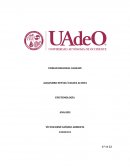 Analisis de Good Will Hunting