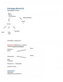 Psicología (Parcial 3) Sexualidad humana