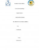 Manual de psicologia de la educacion