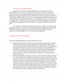 ¿Cómo reconozco un proyecto éxitoso?