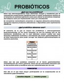 ¿Qué son los probióticos?
