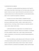 DEFORESTACION DE ARBOLES