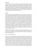 Innovación disruptiva Uber