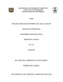 PROCESO ATENCIÓN ENFERMERO DEL ADULTO MAYOR