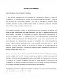PROTECCIÓN AMBIENTAL IMPACTO DE LA INDUSTRIA PETROLERA