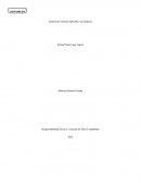 Responsabilidad Social y Creación de Valor Compartido