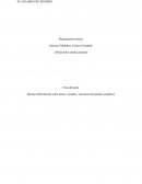 INFORME PLANEAMIENTO MINERO