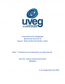 Cambios en la pubertad y la adolescencia