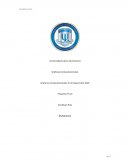 Graficas Computacionales En El Desarrollo Web