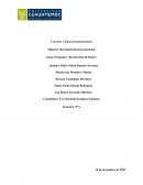 Preguntas “Recolección De Datos”