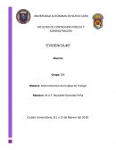 Laboratorio Proforma