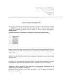 Sintesis del APA metodología