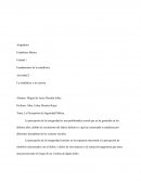 La Percepción de Seguridad Pública