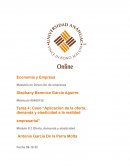 Caso “Aplicación de la oferta, demanda y elasticidad a la realidad empresarial”