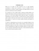 Ensayo el salinerito