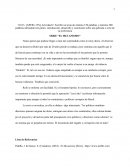 SERIE “EL MECANISMO”