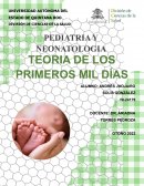 ENSAYO DE LA TEORÍA DE LOS PRIMEROS 1,000 DÍAS