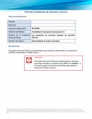 Los proyectos de inversión (Estudio de mercado técnico)